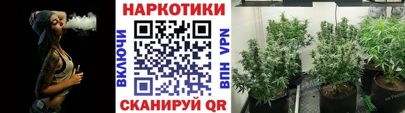 Наркотические вещества Ессентуки Псилоцибиновые грибы  kraken маркетплейс  Alpha-PVP  Гашиш 