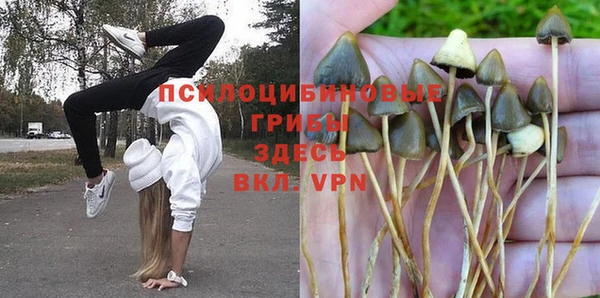 бошки Володарск