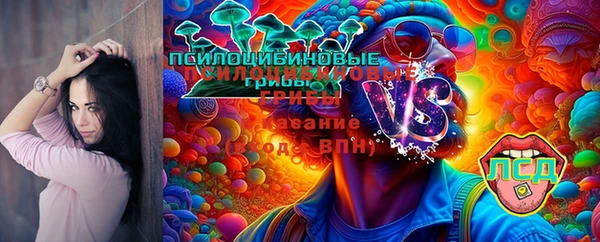 бошки Володарск