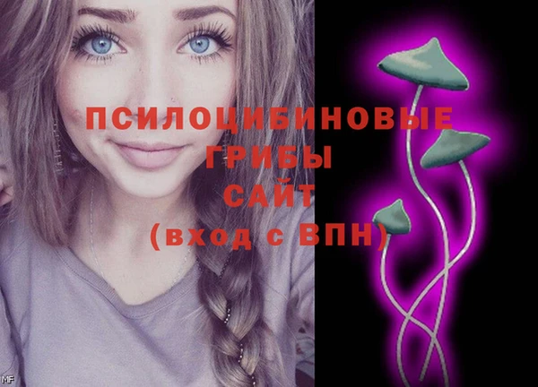 бошки Володарск