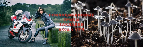 бошки Володарск