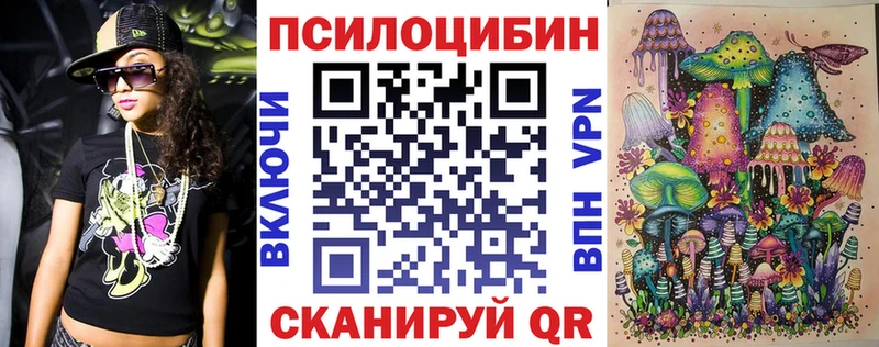 Псилоцибиновые грибы мицелий  где продают   Ессентуки 
