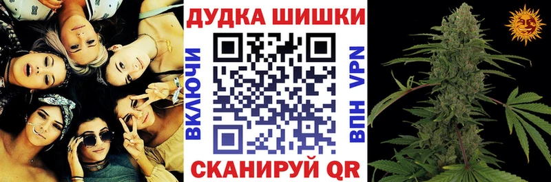 Бошки Шишки гибрид Ессентуки